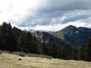 nistos-cap-neste-2