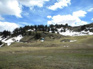 nistos-cap-neste
